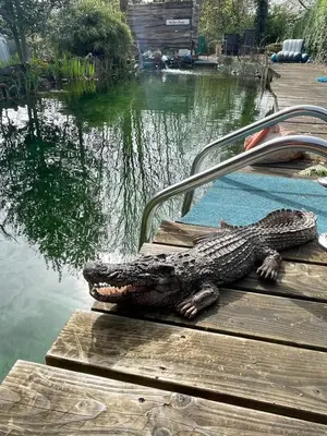 Blick auf einen Fluss in der Nähe des Privatzimmers