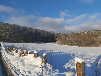 Ferienwohnung Eifelrose im Winter
