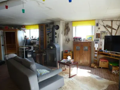 TV/Unterhaltungsangebot in der Unterkunft Vakantie in het dorp