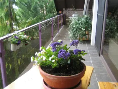 Ein Garten an der Unterkunft Ferienwohnung Virginija