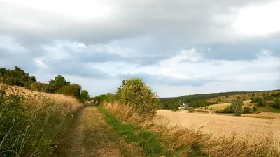 Naturlandschaft in der Nähe des Ferienhauses