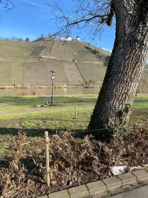 Naturlandschaft in der Nähe der Ferienwohnung