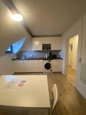 Küche/Küchenzeile in der Unterkunft Charmante Wohnungen direkt in der Stadtmitte