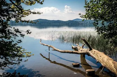 Naturlandschaft in der Nähe der Ferienwohnung