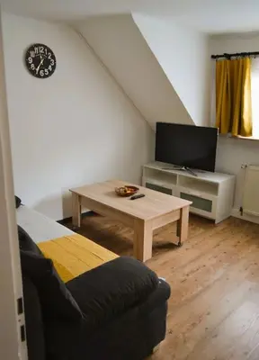 TV/Unterhaltungsangebot in der Unterkunft Ferienwohnung Am Bollenbach