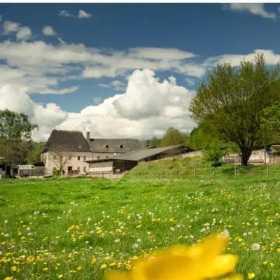 Zimmer auf dem Scheuerhof