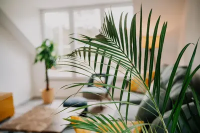 Ein Sitzbereich in der Unterkunft großzügiges, stylisches Apartment I 6 Personen I Eifel I Naturliebhaber I