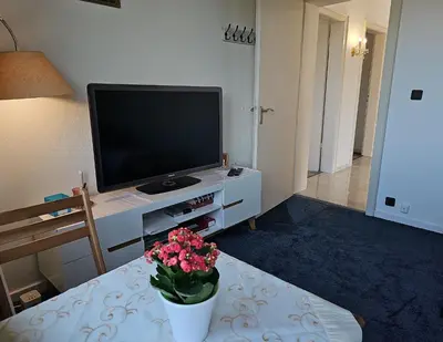 TV/Unterhaltungsangebot in der Unterkunft Little Rhine View Château - UG Apartment