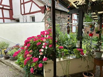 Ein Garten an der Unterkunft Privatzimmer mit eigenem Bad und Blick auf den Rhein