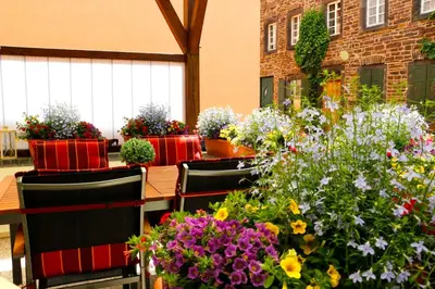Ein Garten an der Unterkunft Studio Apartment am historischen Matthiasturm