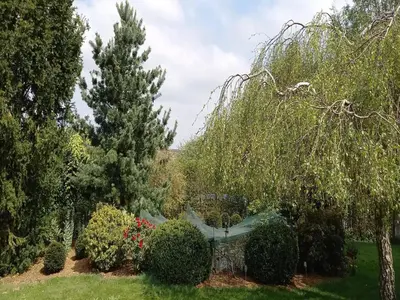 Ein Garten an der Unterkunft Ferienhaus Paula in Haserich im Hunsrueck