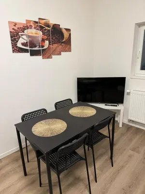 TV/Unterhaltungsangebot in der Unterkunft Gemütliches Zimmer in Rheinnähe