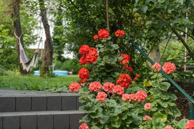 Ein Garten an der Unterkunft Landhaus Arnoth