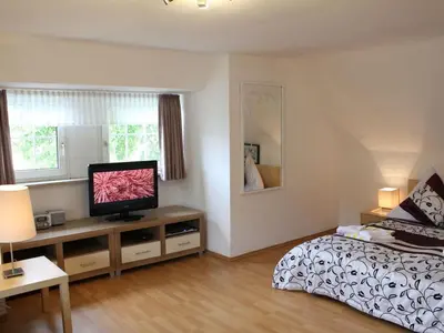TV/Unterhaltungsangebot in der Unterkunft Stad Vakantiehuis Vulkaneifel