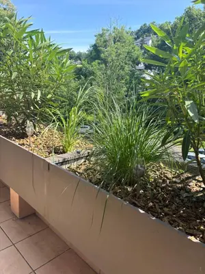 Ein Garten an der Unterkunft Ferienwohnung Weiss