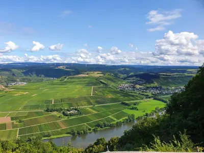 Naturlandschaft in der Nähe der Ferienwohnung