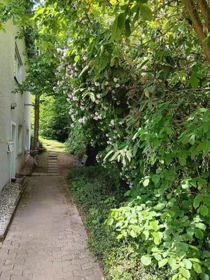 Ein Garten an der Unterkunft Ferienwohnung Am Waldesrand