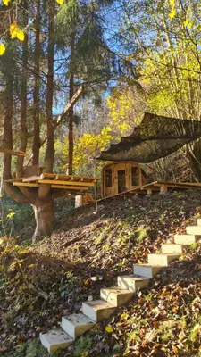Ein Garten an der Unterkunft Maxi-Appartement zum gechillten Hirsch OG Traben-Trarbach
