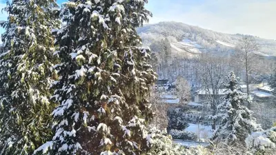 Maxi-Appartement zum gechillten Hirsch OG Traben-Trarbach im Winter