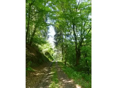 Naturlandschaft in der Nähe des Ferienhauses