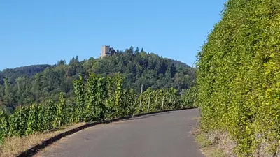 Naturlandschaft in der Nähe der Ferienwohnung