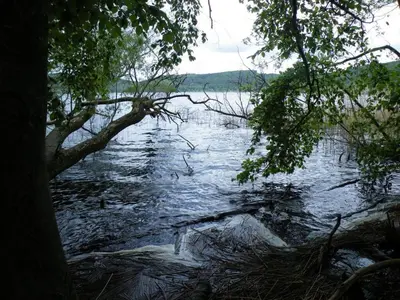 Naturlandschaft in der Nähe des Ferienhauses