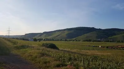 Naturlandschaft in der Nähe der Ferienwohnung