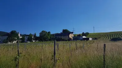 Naturlandschaft in der Nähe der Ferienwohnung