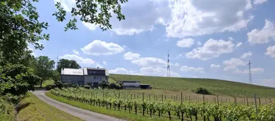 Naturlandschaft in der Nähe der Ferienwohnung