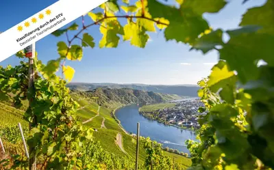 Naturlandschaft in der Nähe der Ferienwohnung
