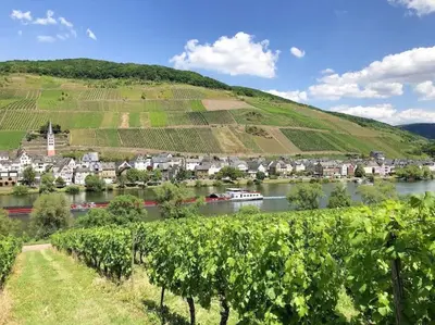 Naturlandschaft in der Nähe des Ferienhauses