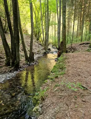 Naturlandschaft in der Nähe der Ferienwohnung