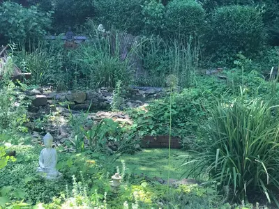 Ein Garten an der Unterkunft Kleines Altstadt-Gästehaus mit Garten und Herz