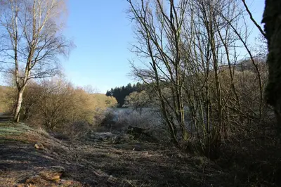Naturlandschaft in der Nähe der Pension