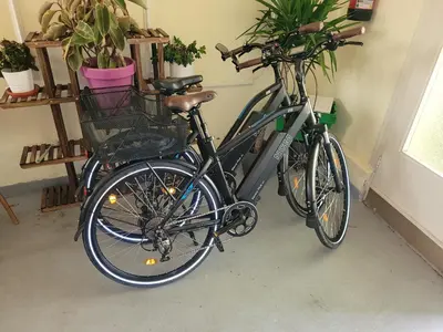 Radfahren an der Unterkunft Urlaub am Rhein, Ferienwohnung mit Garten oder in der Nähe