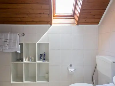 Ein Badezimmer in der Unterkunft Apartment Eifelnatur - Haus 2-3 by Interhome