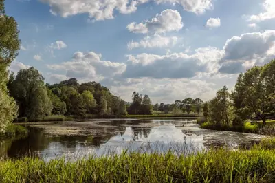 Naturlandschaft in der Nähe des Ferienhauses