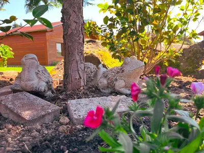 Ein Garten an der Unterkunft Haus Ehrenbreitstein