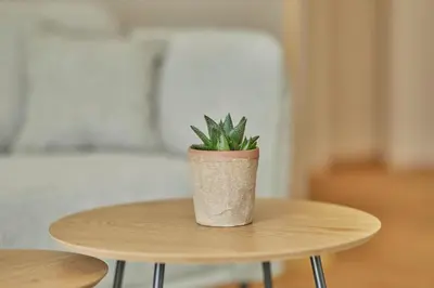 Ein Sitzbereich in der Unterkunft Neu!!! Moselbleibe Weingartenhaus