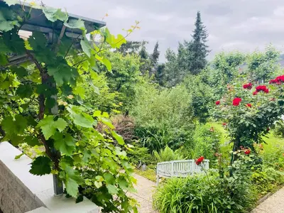 Ein Garten an der Unterkunft Apartment in Kamp-Bornhofen 51101