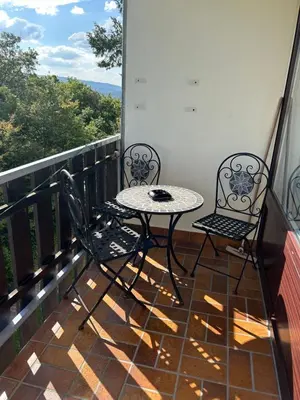 Ein Balkon oder eine Terrasse in der Unterkunft Luxus Apartment am Dreiburgenblick