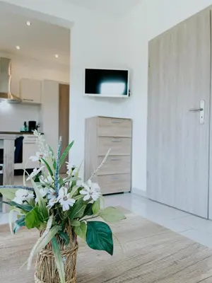 TV/Unterhaltungsangebot in der Unterkunft Haus Rheinblick