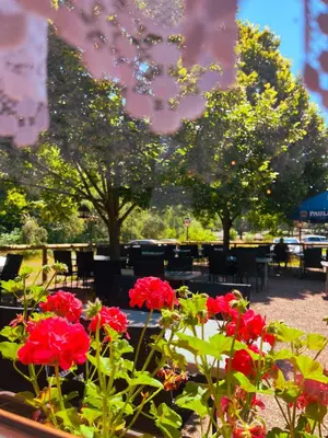 Ein Garten an der Unterkunft Ferienwohnung Burg Katz