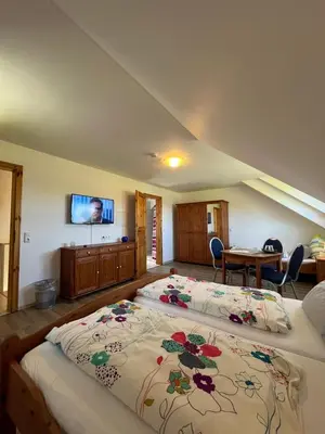 TV/Unterhaltungsangebot in der Unterkunft Ferienwohnung Burg Maus