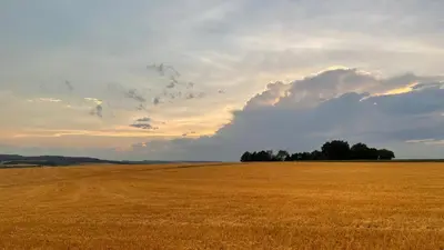 Naturlandschaft in der Nähe des Ferienhauses