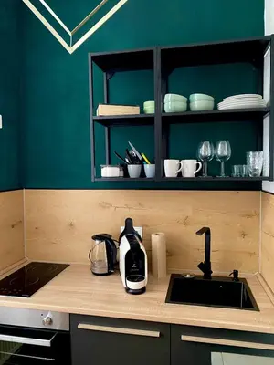 Küche/Küchenzeile in der Unterkunft Gemütliches Apartment am Rhein 2
