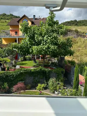 Ein Garten an der Unterkunft Ferienwohnung AnGa