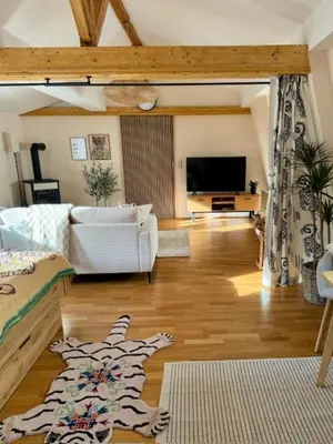 TV/Unterhaltungsangebot in der Unterkunft Residenz zu Caub - Pfalzgrafenstein Appartment