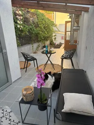 Ein Balkon oder eine Terrasse in der Unterkunft Residenz zu Caub - Pfalzgrafenstein Appartment