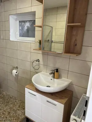 Ein Badezimmer in der Unterkunft Rheintraum Soutterain Wohnung mit Sauna